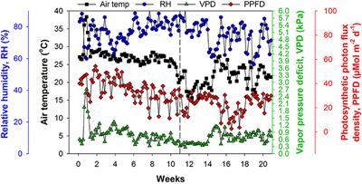 Substrate pH Influences the Nutrient Absorption and Rhizosphere Microbiome of Huanglongbing-Affected Grapefruit Plants